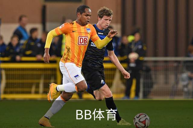 BB体育公司介绍图